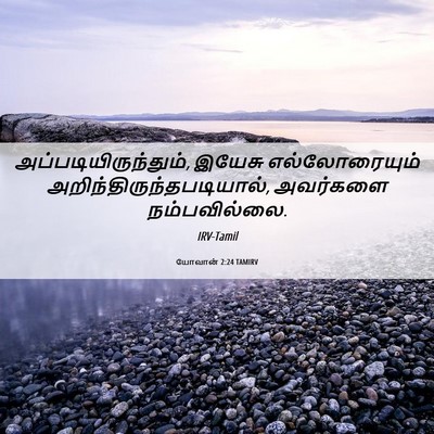 Picture 06 - யோவான் 2:24 TAMIRV - அப்படியிருந்தும், - Bible Verse Picture