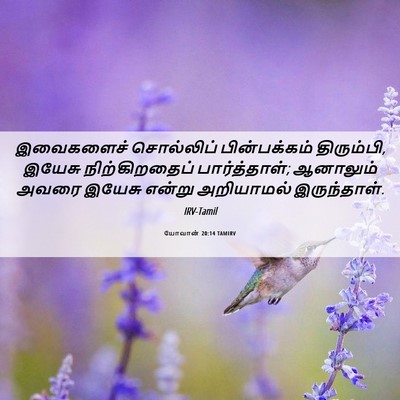 Picture 06 - யோவான் 20:14 TAMIRV - இவைகளைச் சொல்லிப் - Bible Verse Picture