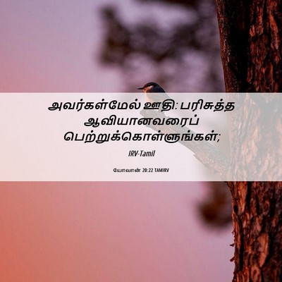 Picture 06 - யோவான் 20:22 TAMIRV - அவர்கள்மேல் ஊதி: - Bible Verse Picture