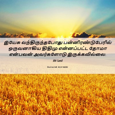 Picture 06 - யோவான் 20:24 TAMIRV - இயேசு - Bible Verse Picture