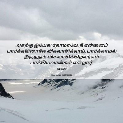 Picture 06 - யோவான் 20:29 TAMIRV - அதற்கு இயேசு: - Bible Verse Picture