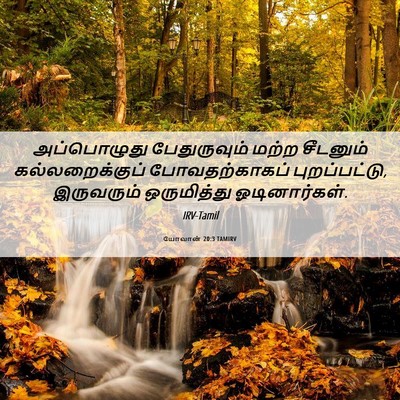 Picture 06 - யோவான் 20:3 TAMIRV - அப்பொழுது - Bible Verse Picture