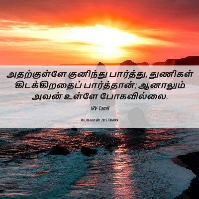 Picture 06 - யோவான் 20:5 TAMIRV - அதற்குள்ளே - Bible Verse Picture