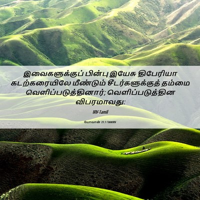 Picture 06 - யோவான் 21:1 TAMIRV - இவைகளுக்குப் - Bible Verse Picture
