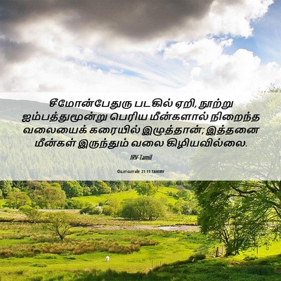 Picture 06 - யோவான் 21:11 TAMIRV - சீமோன்பேதுரு - Bible Verse Picture