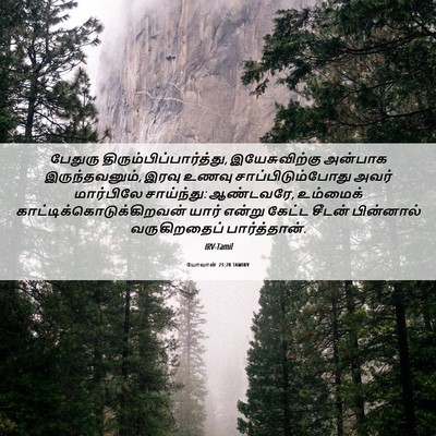 Picture 06 - யோவான் 21:20 TAMIRV - பேதுரு - Bible Verse Picture