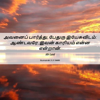 Picture 06 - யோவான் 21:21 TAMIRV - அவனைப் பார்த்து, - Bible Verse Picture