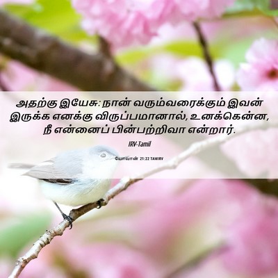 Picture 06 - யோவான் 21:22 TAMIRV - அதற்கு இயேசு: நான் - Bible Verse Picture
