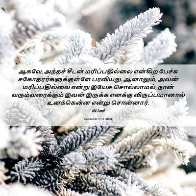 Picture 06 - யோவான் 21:23 TAMIRV - ஆகவே, அந்தச் சீடன் - Bible Verse Picture
