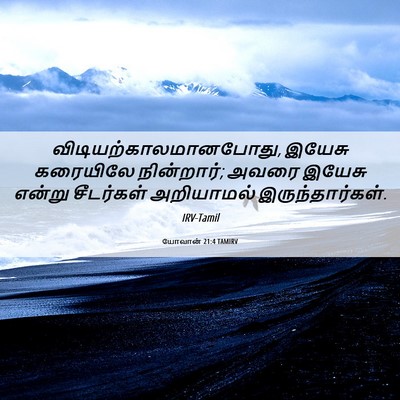 Picture 06 - யோவான் 21:4 TAMIRV -  - Bible Verse Picture