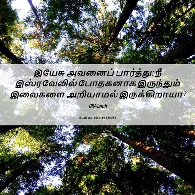Picture 06 - யோவான் 3:10 TAMIRV - இயேசு அவனைப் - Bible Verse Picture