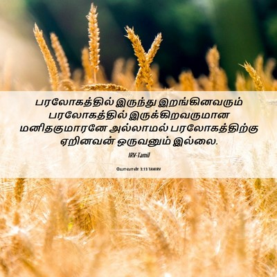 Picture 06 - யோவான் 3:13 TAMIRV - பரலோகத்தில் - Bible Verse Picture