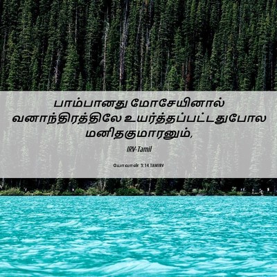 Picture 06 - யோவான் 3:14 TAMIRV - பாம்பானது - Bible Verse Picture