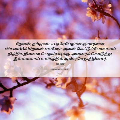 Picture 06 - யோவான் 3:16 TAMIRV - தேவன், தம்முடைய - Bible Verse Picture