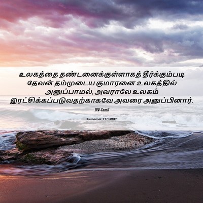 Picture 06 - யோவான் 3:17 TAMIRV - உலகத்தை - Bible Verse Picture