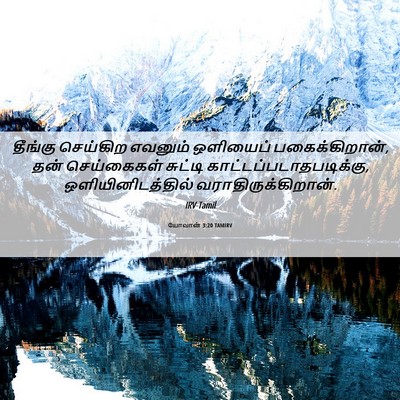 Picture 06 - யோவான் 3:20 TAMIRV - தீங்கு செய்கிற - Bible Verse Picture