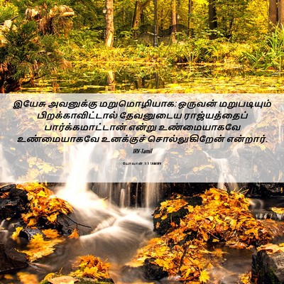 Picture 06 - யோவான் 3:3 TAMIRV - இயேசு அவனுக்கு - Bible Verse Picture