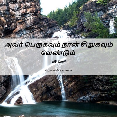 Picture 06 - யோவான் 3:30 TAMIRV - அவர் பெருகவும் - Bible Verse Picture