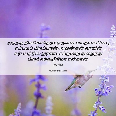 Picture 06 - யோவான் 3:4 TAMIRV - அதற்கு - Bible Verse Picture