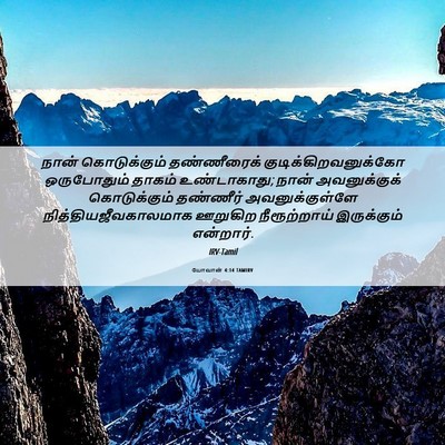 Picture 06 - யோவான் 4:14 TAMIRV - நான் கொடுக்கும் - Bible Verse Picture