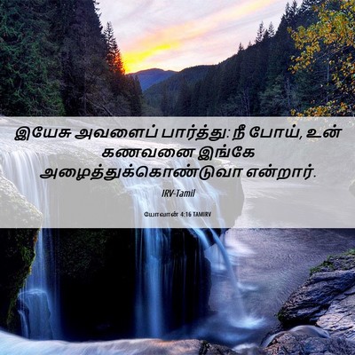 Picture 06 - யோவான் 4:16 TAMIRV - இயேசு அவளைப் - Bible Verse Picture