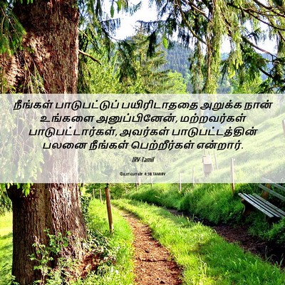 Picture 06 - யோவான் 4:38 TAMIRV - நீங்கள் - Bible Verse Picture