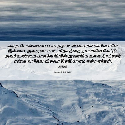 Picture 06 - யோவான் 4:42 TAMIRV - அந்த பெண்ணைப் - Bible Verse Picture