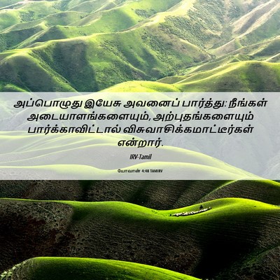 Picture 06 - யோவான் 4:48 TAMIRV - அப்பொழுது இயேசு - Bible Verse Picture