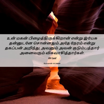 Picture 06 - யோவான் 4:53 TAMIRV - உன் மகன் - Bible Verse Picture