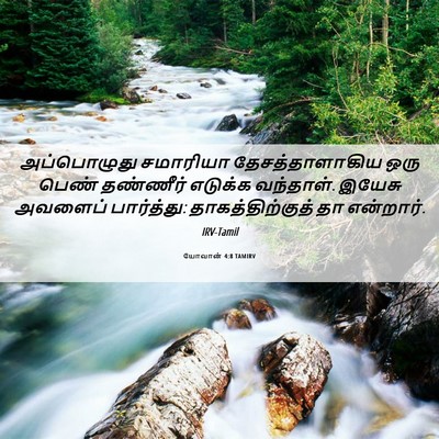 Picture 06 - யோவான் 4:8 TAMIRV - அப்பொழுது சமாரியா - Bible Verse Picture