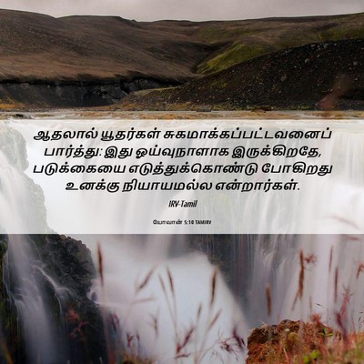 Picture 06 - யோவான் 5:10 TAMIRV - ஆதலால் யூதர்கள் - Bible Verse Picture