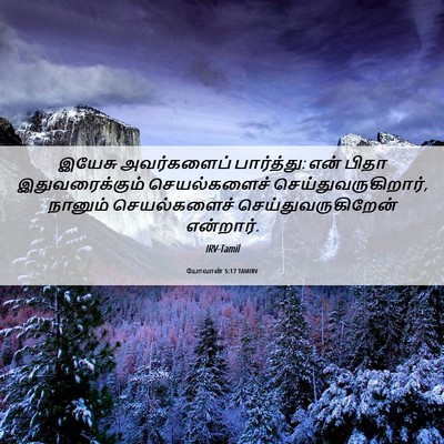 Picture 06 - யோவான் 5:17 TAMIRV - இயேசு அவர்களைப் - Bible Verse Picture