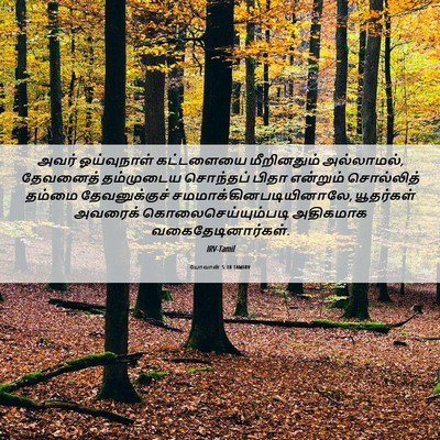 Picture 06 - யோவான் 5:18 TAMIRV - அவர் ஓய்வுநாள் - Bible Verse Picture