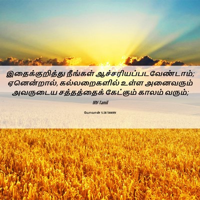 Picture 06 - யோவான் 5:28 TAMIRV - இதைக்குறித்து - Bible Verse Picture
