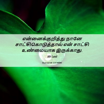 Picture 06 - யோவான் 5:31 TAMIRV - என்னைக்குறித்து - Bible Verse Picture