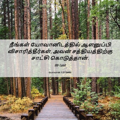 Picture 06 - யோவான் 5:33 TAMIRV - நீங்கள் - Bible Verse Picture
