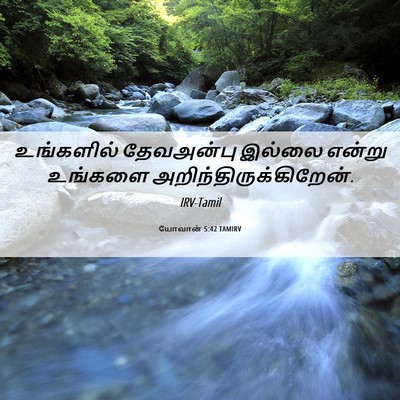 Picture 06 - யோவான் 5:42 TAMIRV - உங்களில் தேவஅன்பு - Bible Verse Picture