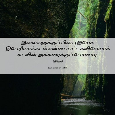 Picture 06 - யோவான் 6:1 TAMIRV - இவைகளுக்குப் - Bible Verse Picture