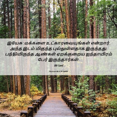 Picture 06 - யோவான் 6:10 TAMIRV - இயேசு: மக்களை - Bible Verse Picture