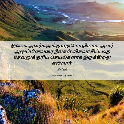 Picture 06 - யோவான் 6:29 TAMIRV - இயேசு அவர்களுக்கு - Bible Verse Picture