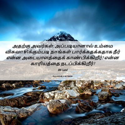 Picture 06 - யோவான் 6:30 TAMIRV - அதற்கு அவர்கள்: - Bible Verse Picture