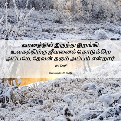 Picture 06 - யோவான் 6:33 TAMIRV - வானத்தில் இருந்து - Bible Verse Picture