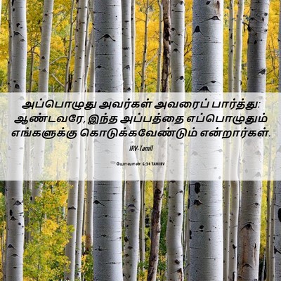 Picture 06 - யோவான் 6:34 TAMIRV - அப்பொழுது அவர்கள் - Bible Verse Picture