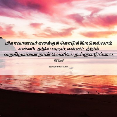 Picture 06 - யோவான் 6:37 TAMIRV - பிதாவானவர் - Bible Verse Picture