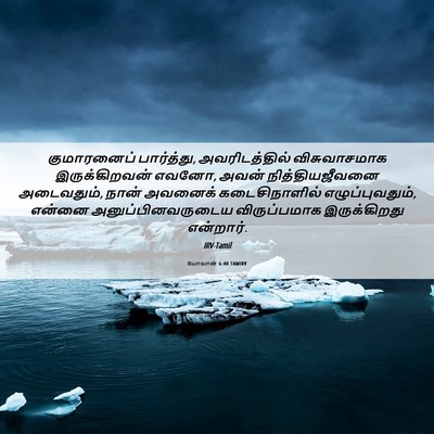 Picture 06 - யோவான் 6:40 TAMIRV - குமாரனைப் - Bible Verse Picture