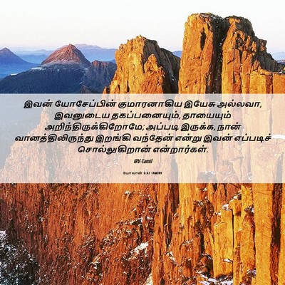 Picture 06 - யோவான் 6:42 TAMIRV - இவன் யோசேப்பின் - Bible Verse Picture