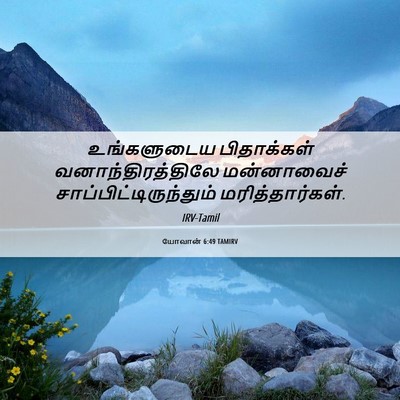 Picture 06 - யோவான் 6:49 TAMIRV - உங்களுடைய - Bible Verse Picture