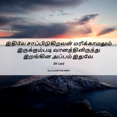 Picture 06 - யோவான் 6:50 TAMIRV - இதிலே - Bible Verse Picture