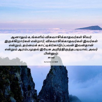 Picture 06 - யோவான் 6:64 TAMIRV - ஆனாலும் உங்களில் - Bible Verse Picture