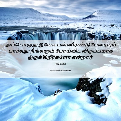 Picture 06 - யோவான் 6:67 TAMIRV - அப்பொழுது இயேசு - Bible Verse Picture